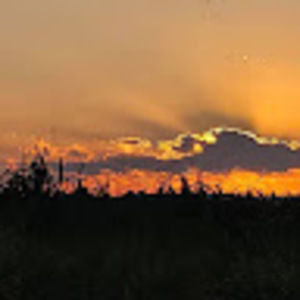 Meet your Posher, Marianne